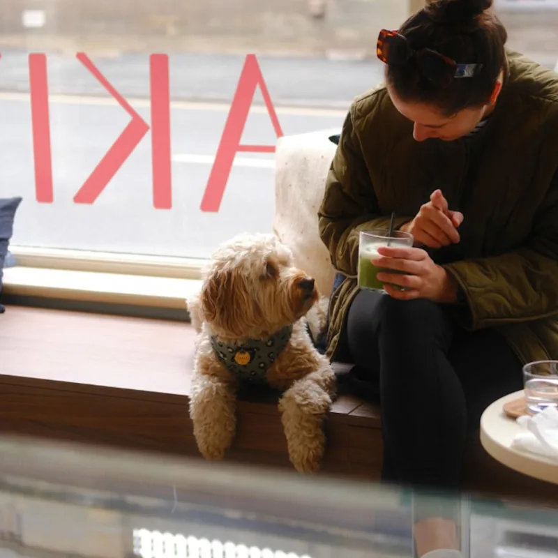 Akin Coffee - Interior