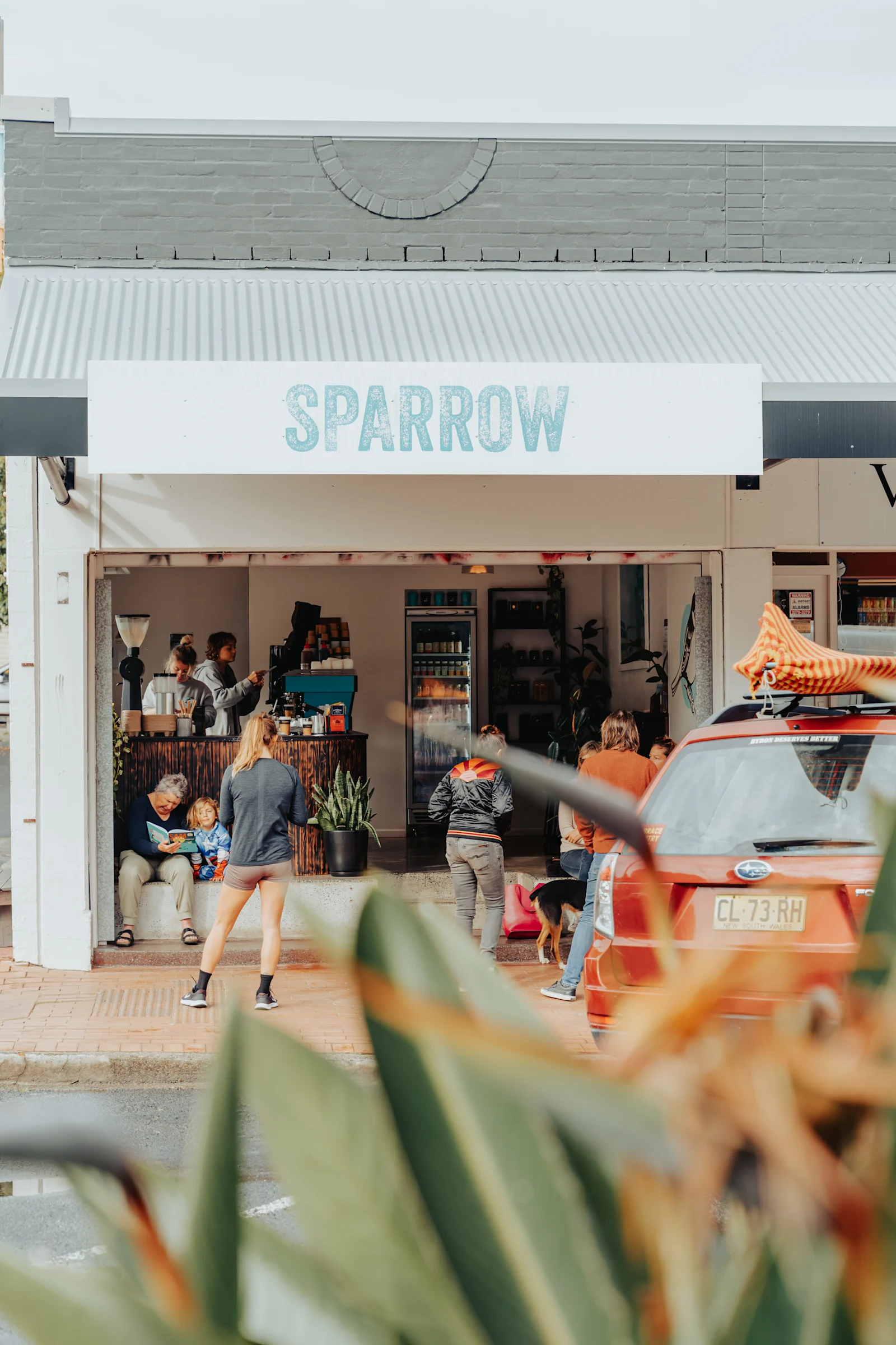 Sparrow - Byron Bay