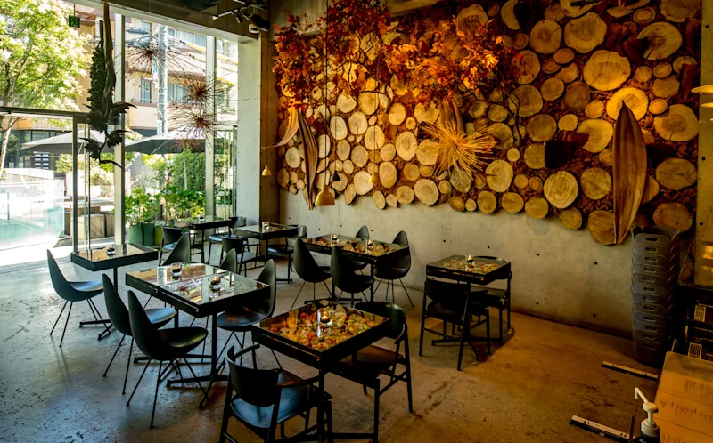 Nicolai Bergmann NOMU