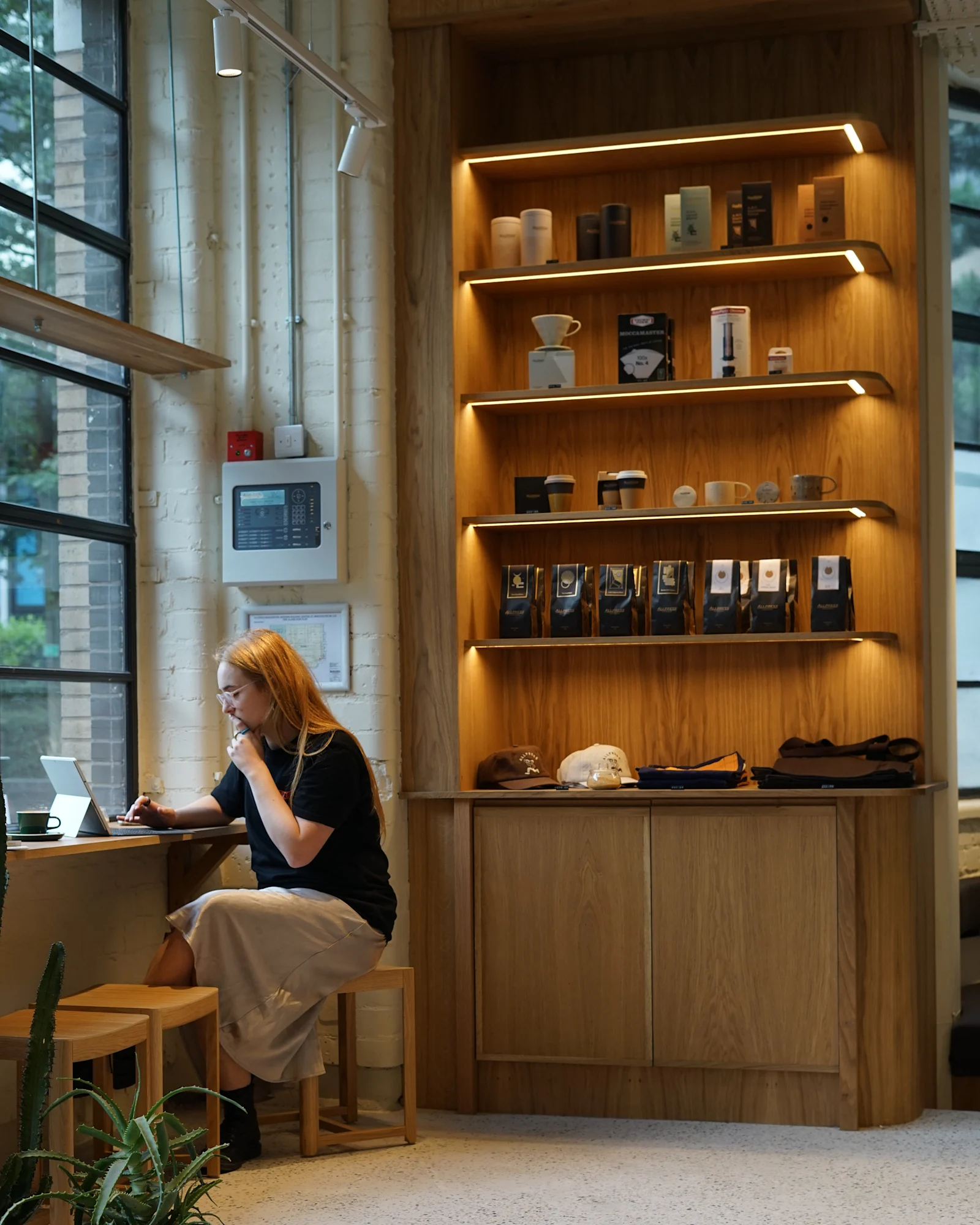 Senior Business Development - North